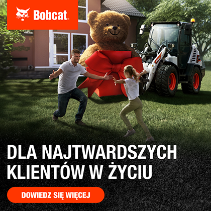 bobcat-923