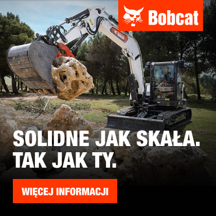 bobcat-923