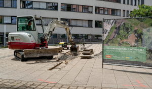 Las z okazji 100 lat STIHL